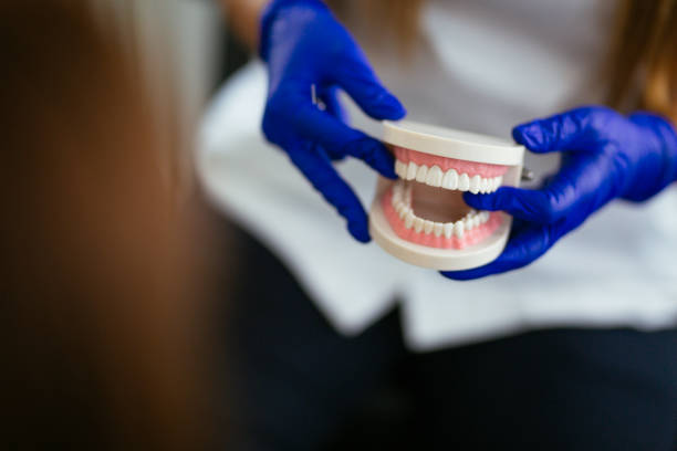 Trusted Struthers, OH Holistic Dental Care Services Experts